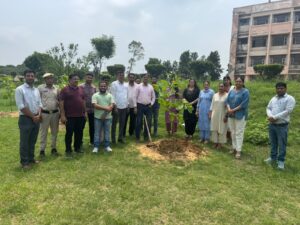 plantation in CRSSIET